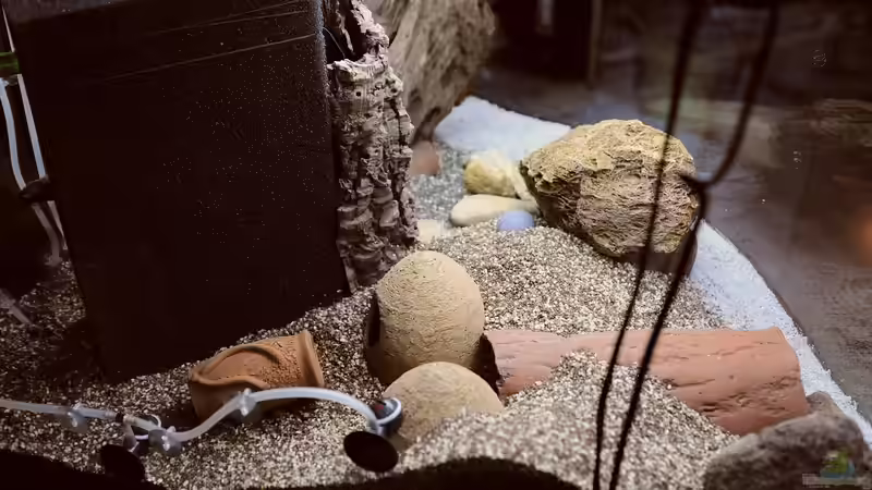 Layout 2016: Fertig eingekiest von Peter Vlasaty (16)