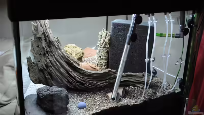 Layout 2016: Wie maßgeschneidert passt die Wurzel von Peter Vlasaty (17)