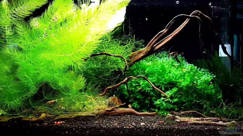 Layout Datum: 13.11.2016