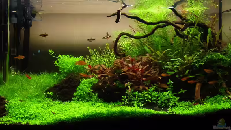 Layout (Datum: 26.03.2016) von YoshiMaus (1)