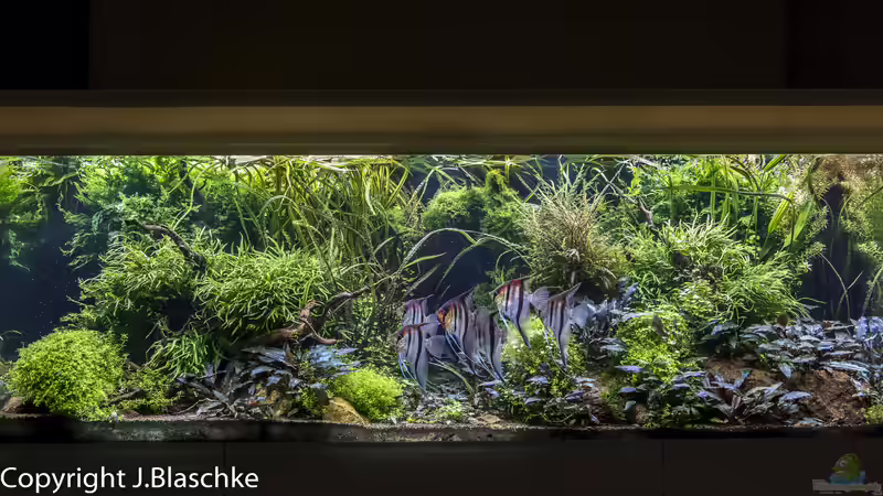 Layout einen Tag vor Umbau 10-10-2020 von JARB (20)