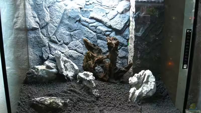 Layout mit Steinen und Wurzel von Sergio10 (27)