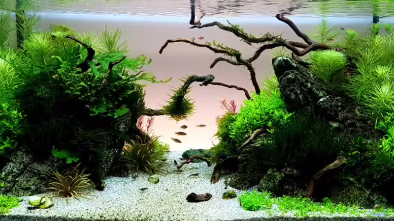 Layout vom 01.10.2016 (EAPLC 2016) von YoshiMaus (2)