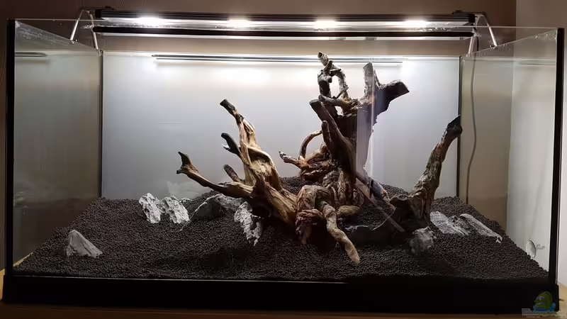 Layout von 2017 von YoshiMaus (11)