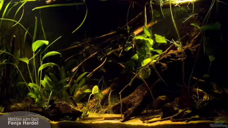 Layoutfortschritt 28.11.2010 dunkel von Benjamin Hamann (12)