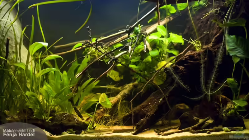 Layoutfortschritt 28.11.2010 hell von Benjamin Hamann (11)