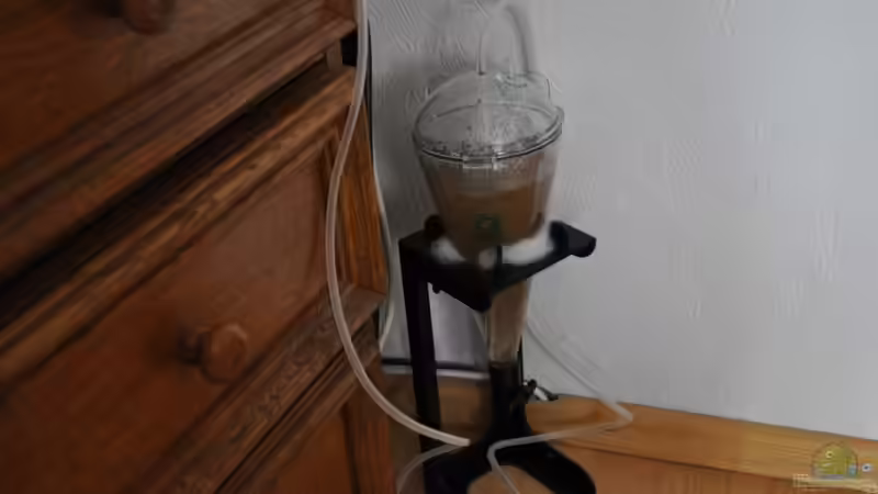 Lebendfutter für anspruchsvolle Zierfische selbst züchten