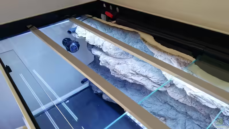 Lebensdauer einer LED-Aquarienbeleuchtung - Wie lange hält sie wirklich und was beeinflusst sie?