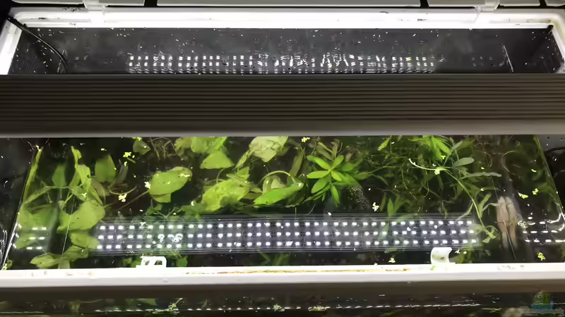 Lebensdauer einer LED-Aquarienbeleuchtung - Wie lange hält sie wirklich und was beeinflusst sie?