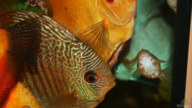 Lecker von Steffen Rübsam (36)