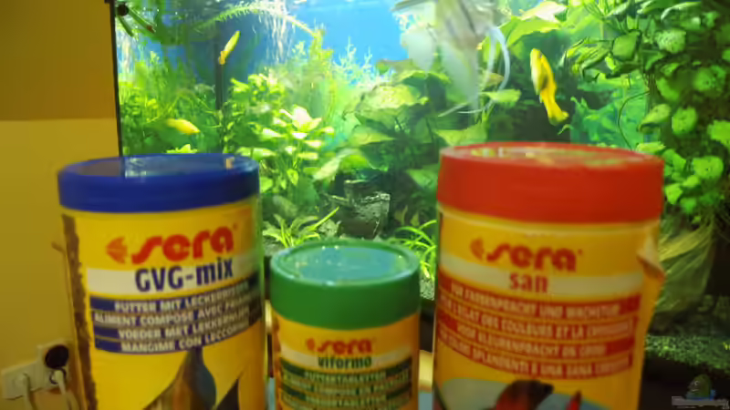 Leckerbissen von SERA von aqua david (9)