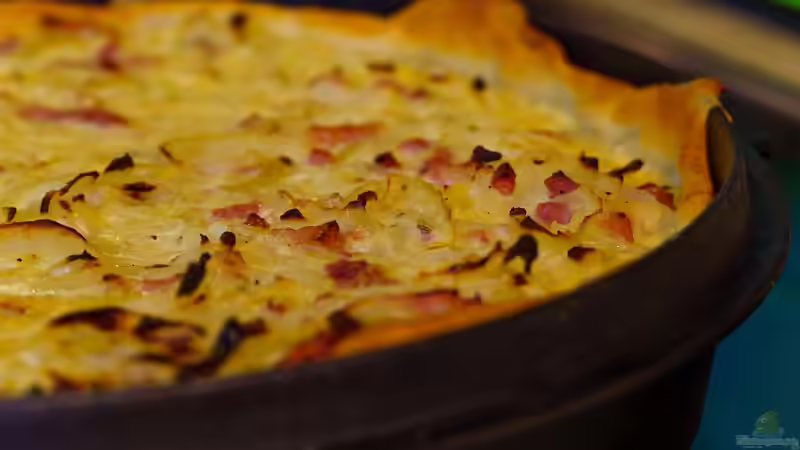 Leckere Rezepte für den Dutch Oven - Genuss aus Gusseisen unter freiem Himmel