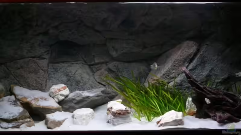 LED- Balken: beginnendes Tageslicht/ Steine neu arrangiert von TheToxicAvenger (18)