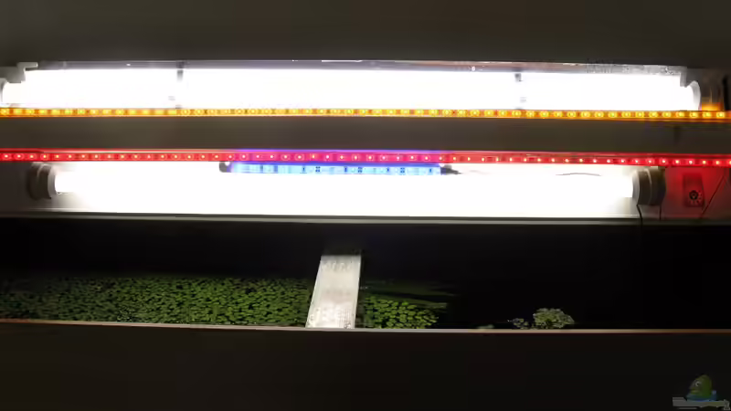 LED  von BLUE LINE von Tudelui (17)