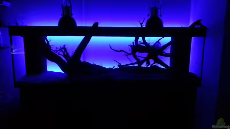 LED Anischt ohne Wasser von seb (38)