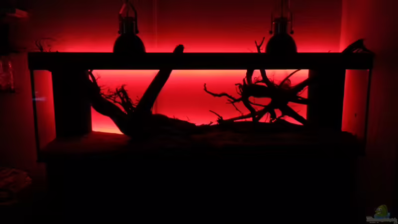 LED Anischt ohne Wasser von seb (39)