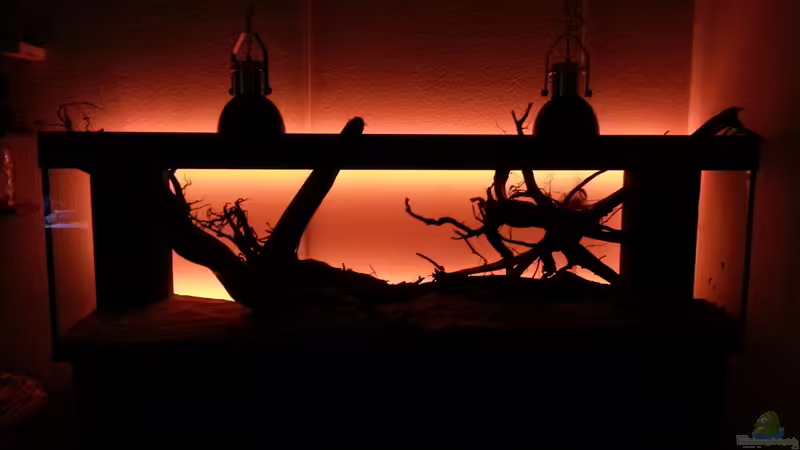 LED Anischt ohne Wasser von seb (40)