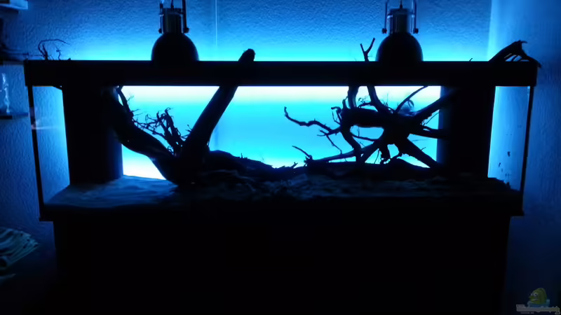 LED Anischt ohne Wasser von seb (41)