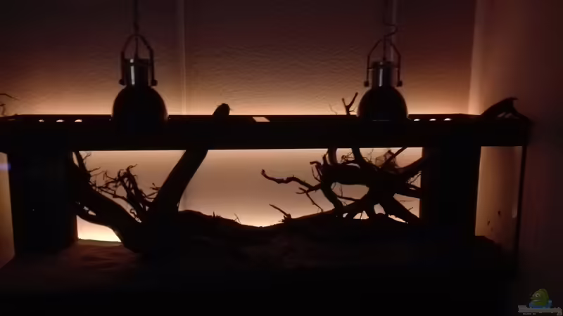 LED Anischt ohne Wasser von seb (42)