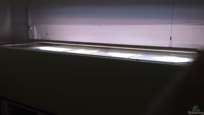 LED Aquaristik Hängeleuchte von Berie (2)