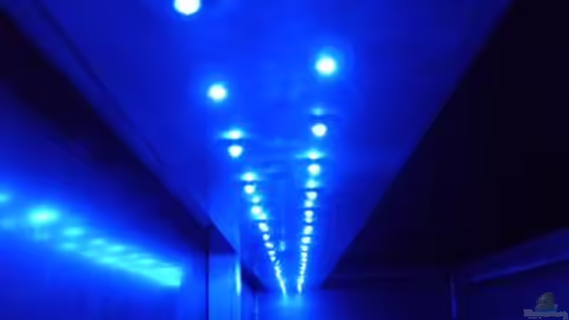 LED Balken 50x5mm a 7000mcd anstatt 2x40W Marineglo von Lars Schnabel (16)