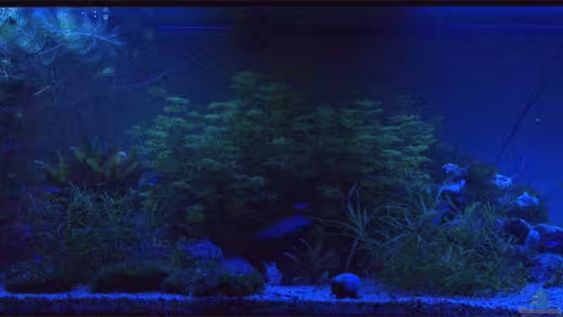 LED-Beleuchtung (Blau und Weiß) für Dämmerung und Bewölkung von SteB-Studio (5)