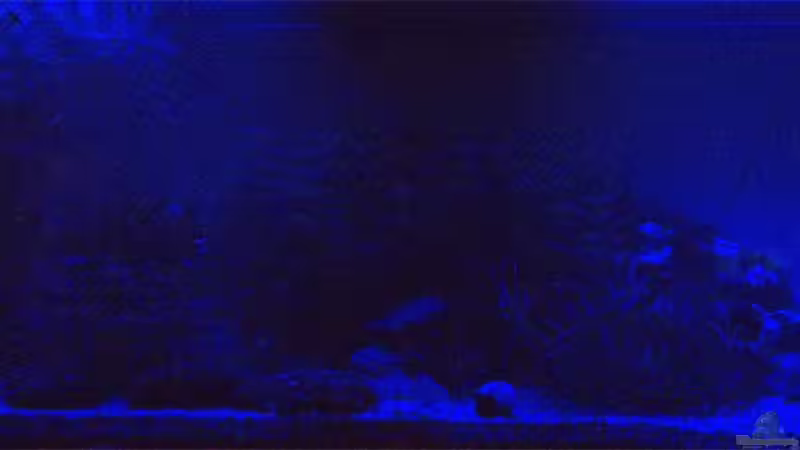 LED-Beleuchtung (Blau und Weiß) für die Nacht von SteB-Studio (6)