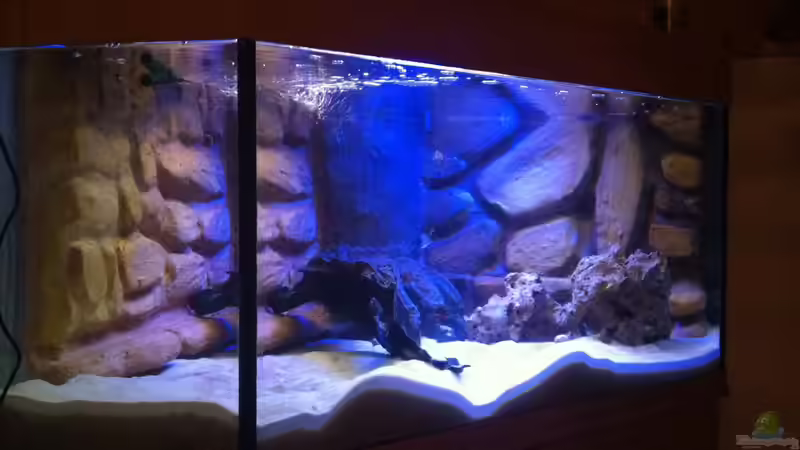 LED Beleuchtung Dämmerung von Ecky (7)