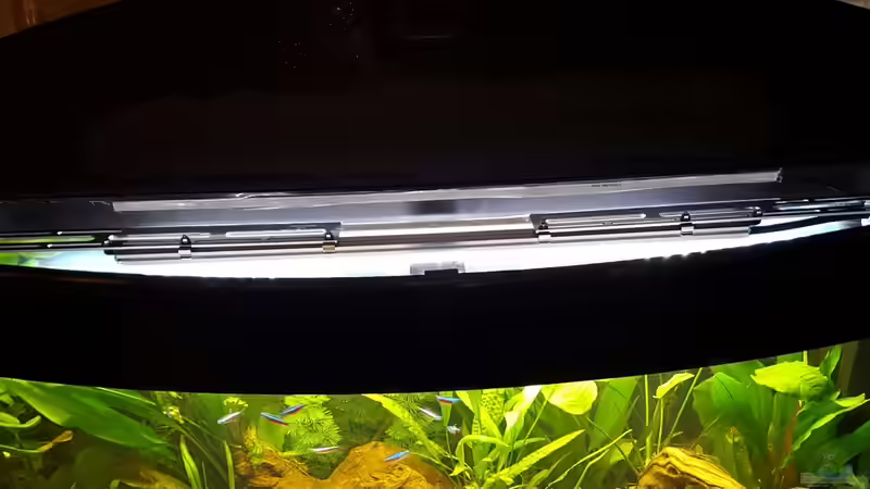 LED Beleuchtung in T8 Fassung  von painless Tdb-music (5)