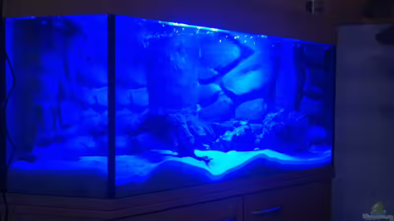 LED Beleuchtung Mondlicht von Ecky (8)