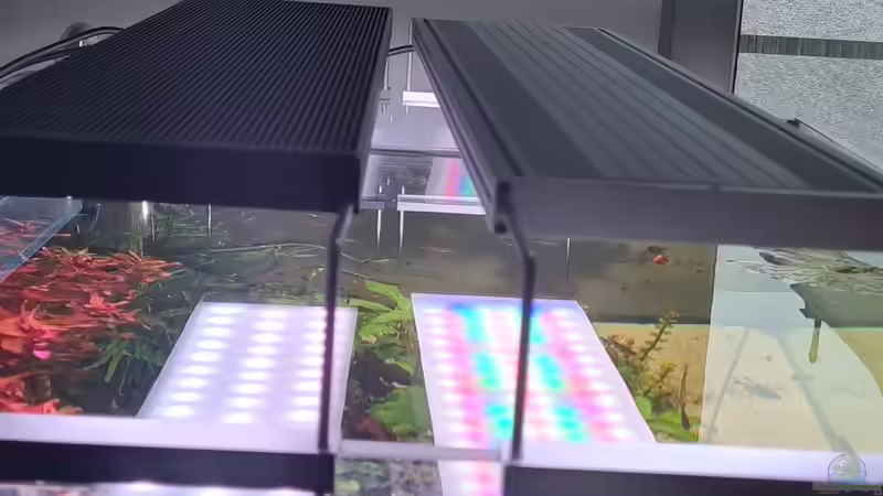 LED-Beleuchtung und Lichtsteuerung von unterschiedlichen Anbietern kombinieren - Möglichkeiten, Herausforderungen und Praxistipps für das Aquarium