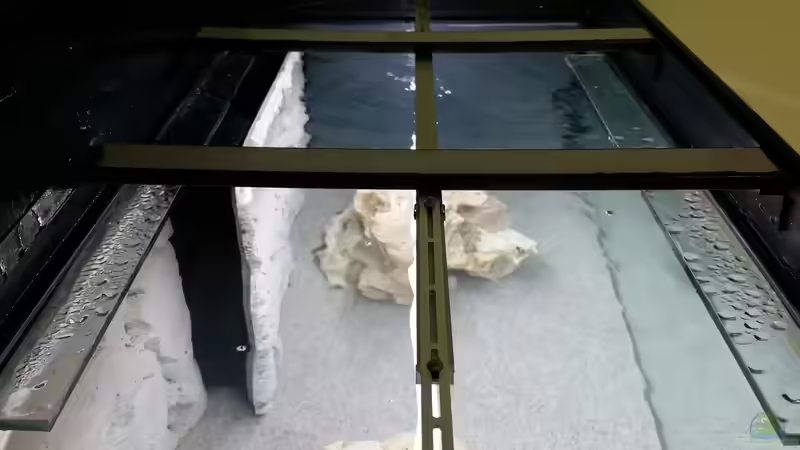 LED Beleuchtung von baumringzaehler (10)