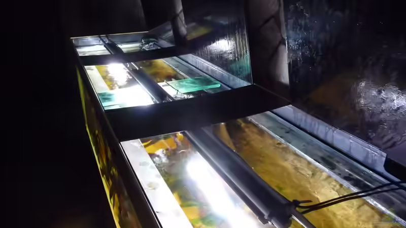 LED-Beleuchtung von carkl (18)