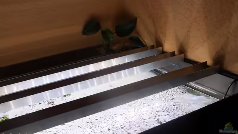 LED Beleuchtung von chrisi01 (27)