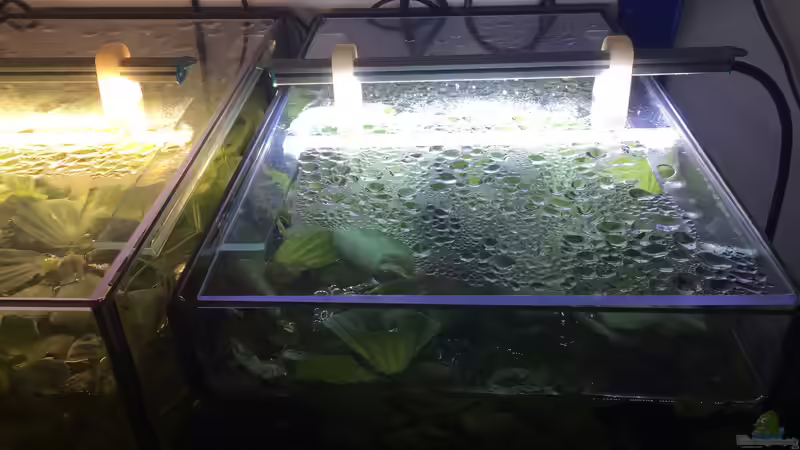 LED-Beleuchtung von Danny (17)