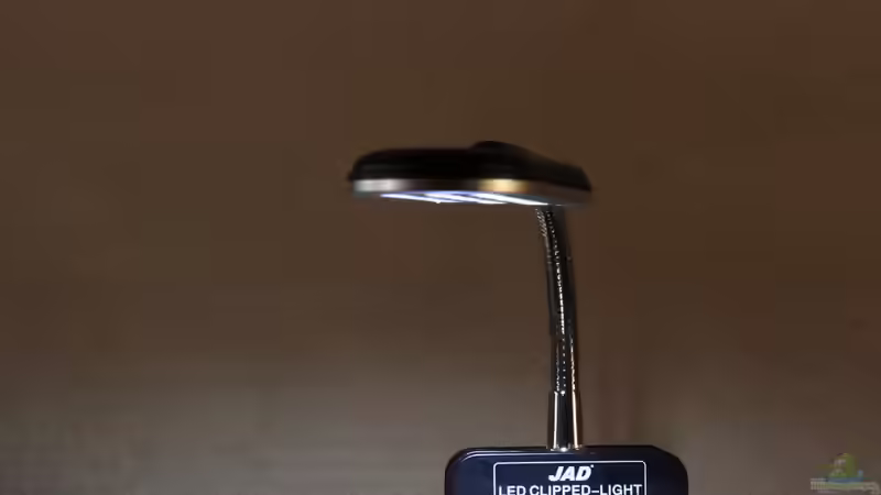 LED Beleuchtung von die Perle... (17)