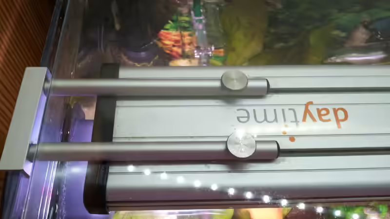 LED Beleuchtung von Erschreckerbär (4)