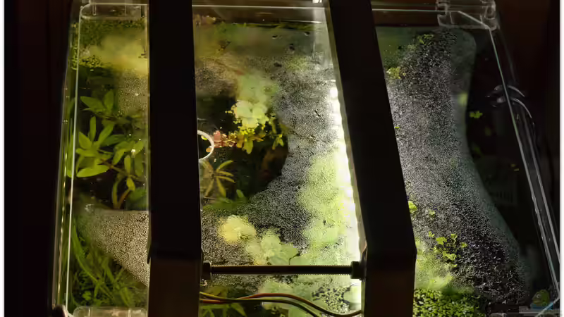 LED-Beleuchtung von hotwheelz (23)