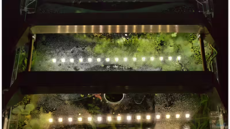 LED-Beleuchtung von hotwheelz (24)