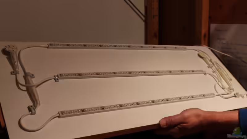 LED-Beleutung montiert auf Regalbrett von Annika (38)