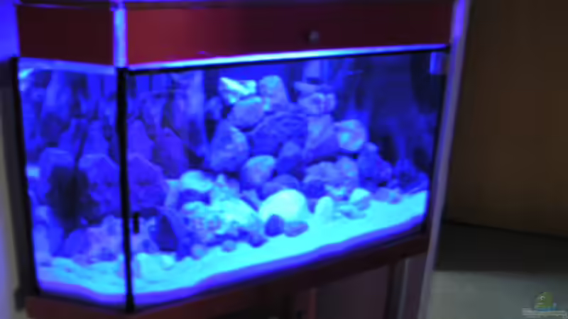 LED-BLAU (Nachtbeleuchtung) von Vito (19)