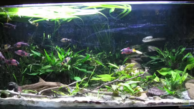 LED color vorne ist an von Lixa (5)