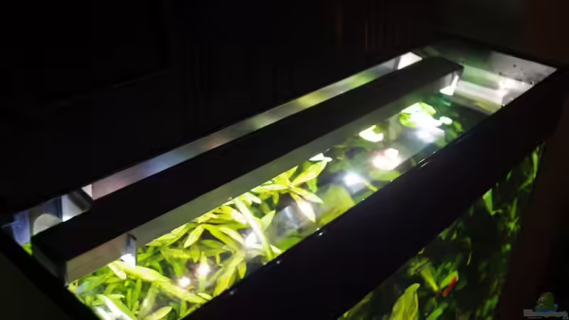 LED Cree Highpower cool white + warmweiss von Micha73 (5)