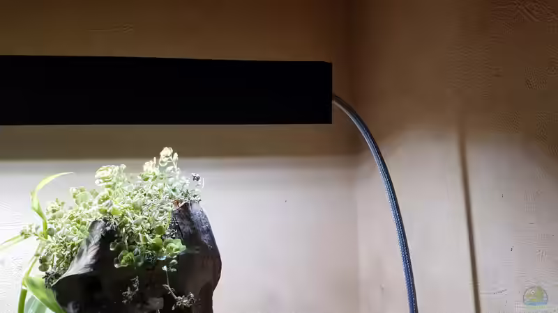 LED Eigenbau  von Smo (30)