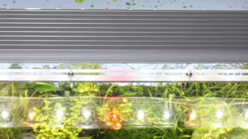 LED Eigenbau von oben von LouFe (15)