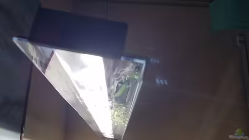 LED Eigenbau von Smo (28)