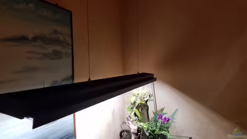 LED Eigenbau von Smo (29)