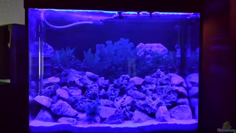 LED gedimmt und nur blaue LEDs in betrieb von Thomas Riemenschneider (27)