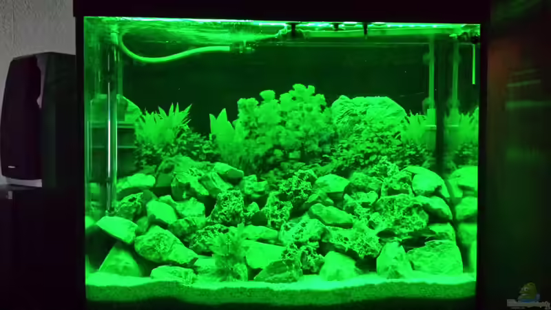 LED gedimmt und nur grüne LEDs in betrieb von Thomas Riemenschneider (28)