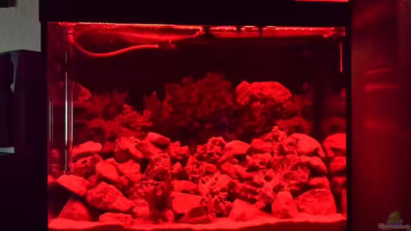 LED gedimmt und nur rote LEDs in betrieb von Thomas Riemenschneider (29)